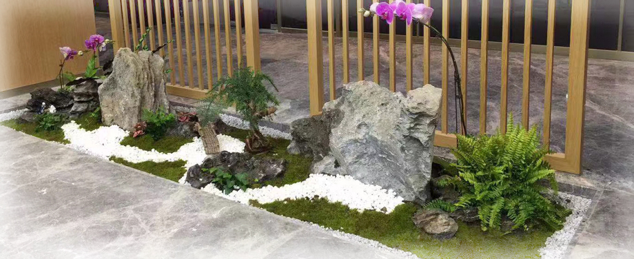 �����̻�